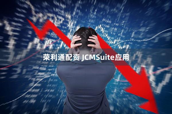 荣利通配资 JCMSuite应用
