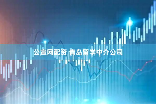 公宣网配资 青岛留学中介公司