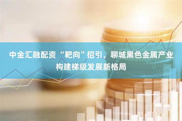 中金汇融配资 “靶向”招引，聊城黑色金属产业构建梯级发展新格局