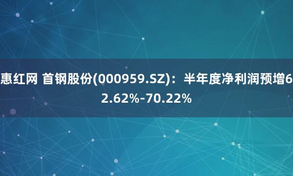 惠红网 首钢股份(000959.SZ)：半年度净利润预增62.62%-70.22%