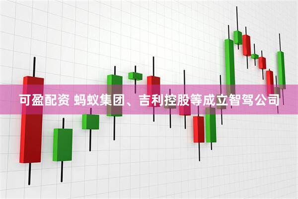 可盈配资 蚂蚁集团、吉利控股等成立智驾公司